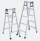 Folding Ladder