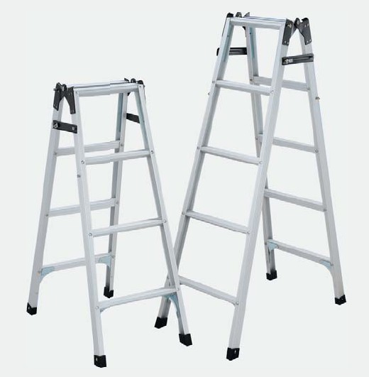 Folding Ladder