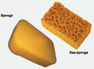 Cleaning sponge for ceramic