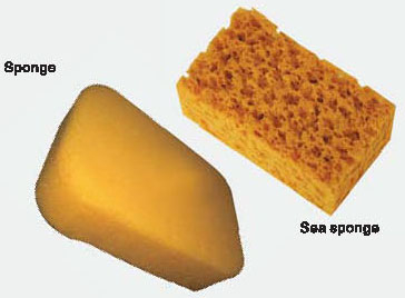 Cleaning sponge for ceramic