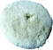wool buffing pad